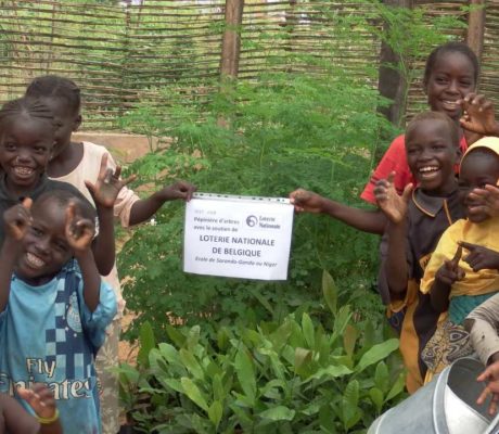 Un enfant un arbre au Niger Un enfant un arbre au Niger