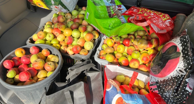 Quand la coopération porte ses fruits