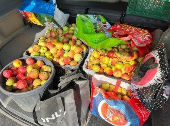 Quand la coopération porte ses fruits
