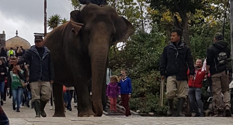 Pairi Daiza
