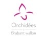 Cérémonie des Orchidées : Votez pour Amarrage comme « coup de cœur du public »